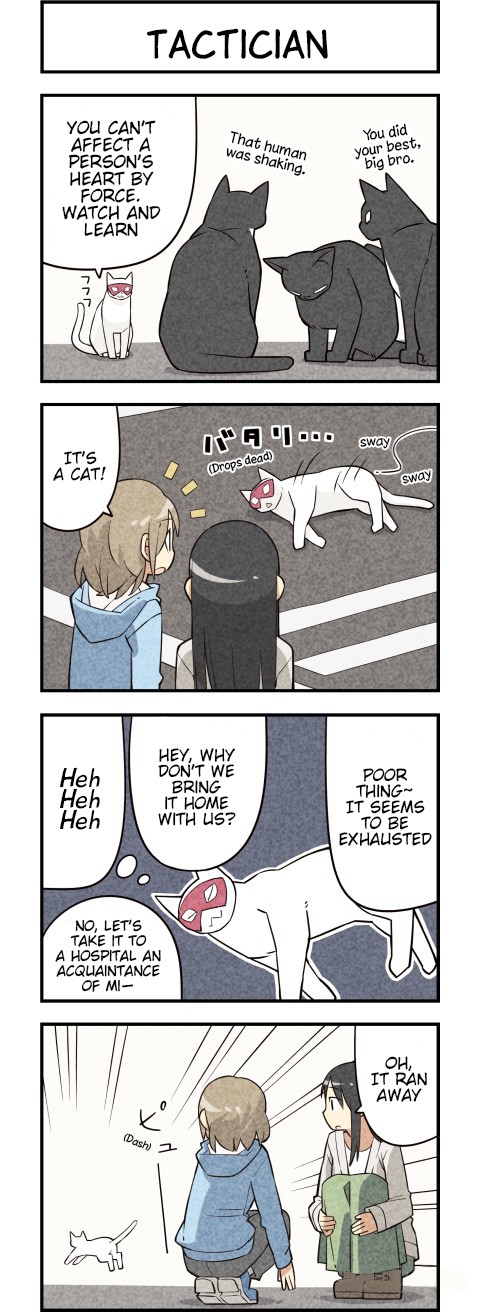 We Are Cats Chapter 21 page 5 - Chapter 21