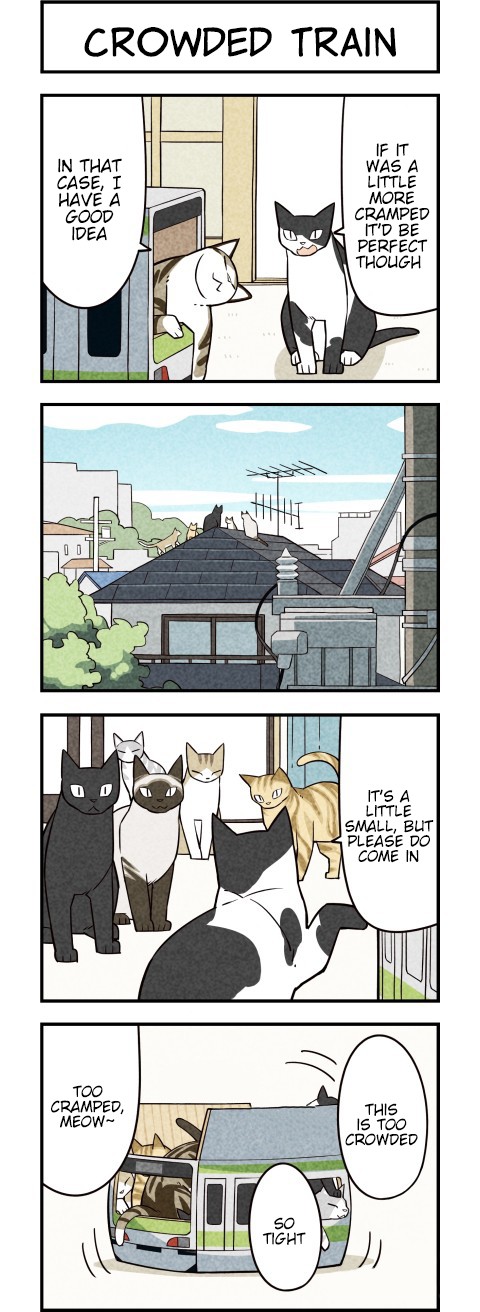 We Are Cats Chapter 23 page 2 - Chapter 23