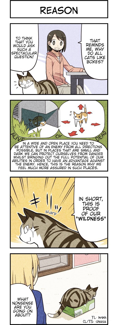 We Are Cats Chapter 23 page 4 - Chapter 23