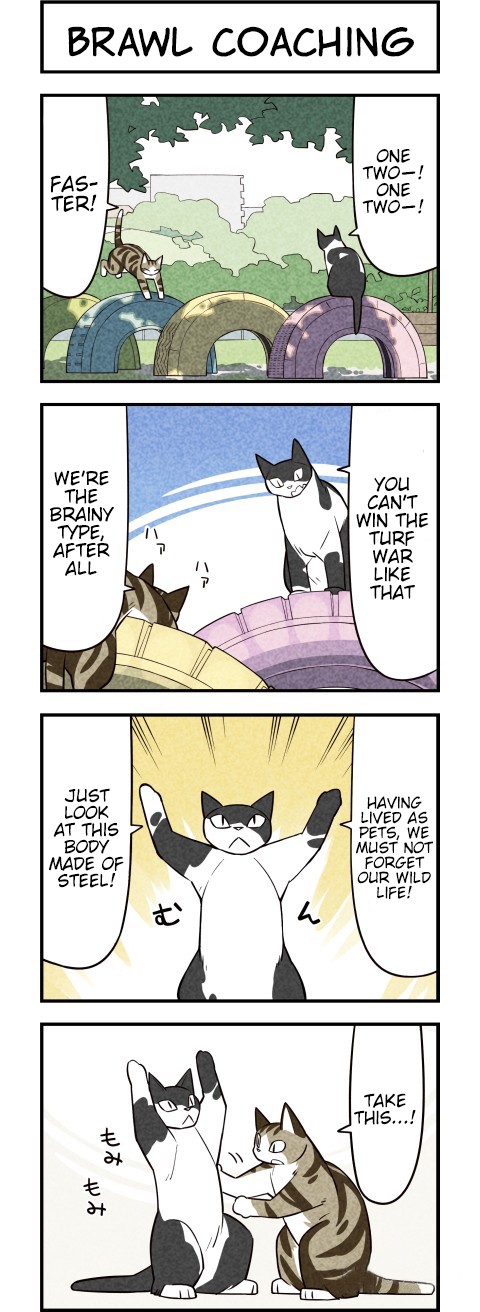 We Are Cats Chapter 25 page 1 - Chapter 25