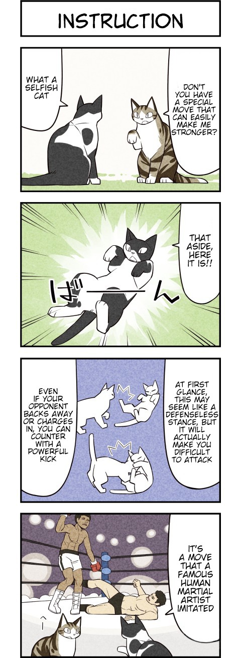 We Are Cats Chapter 25 page 2 - Chapter 25