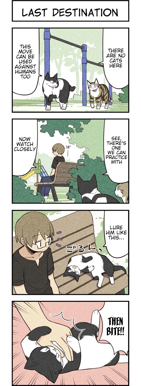 We Are Cats Chapter 25 page 3 - Chapter 25