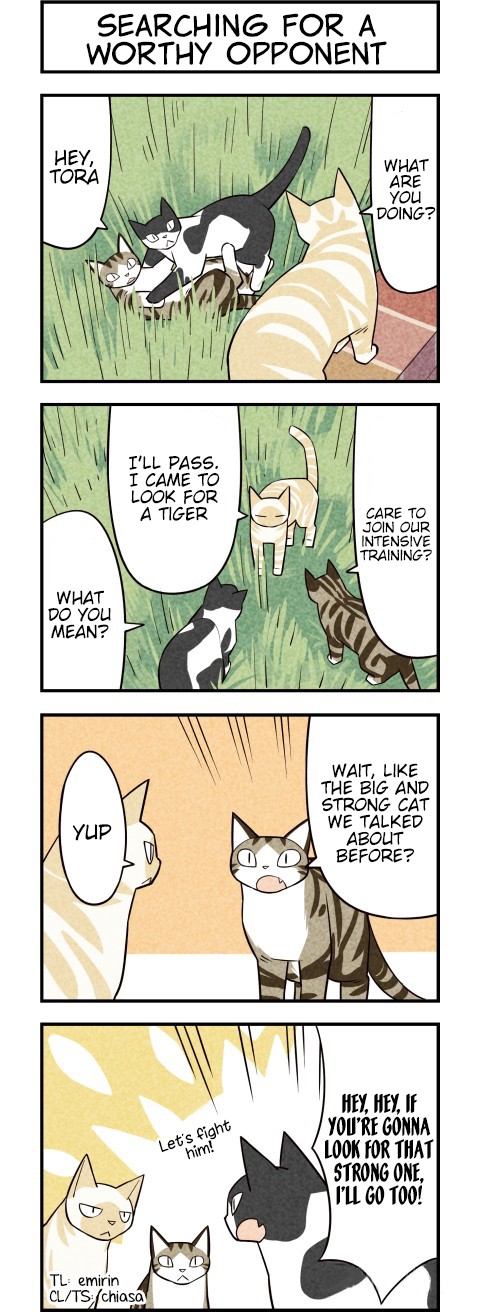 We Are Cats Chapter 25 page 4 - Chapter 25