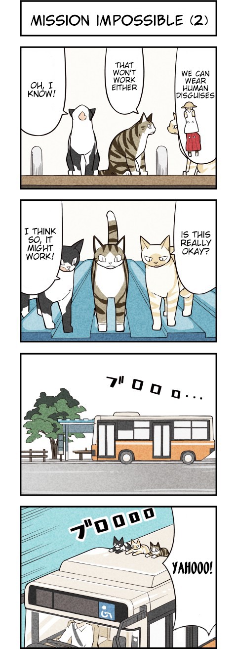 We Are Cats Chapter 26 page 2 - Chapter 26