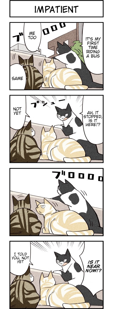 We Are Cats Chapter 26 page 3 - Chapter 26