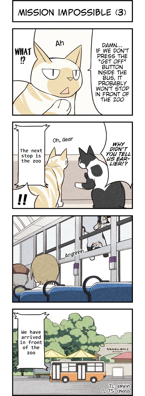 We Are Cats Chapter 26 page 4 - Chapter 26