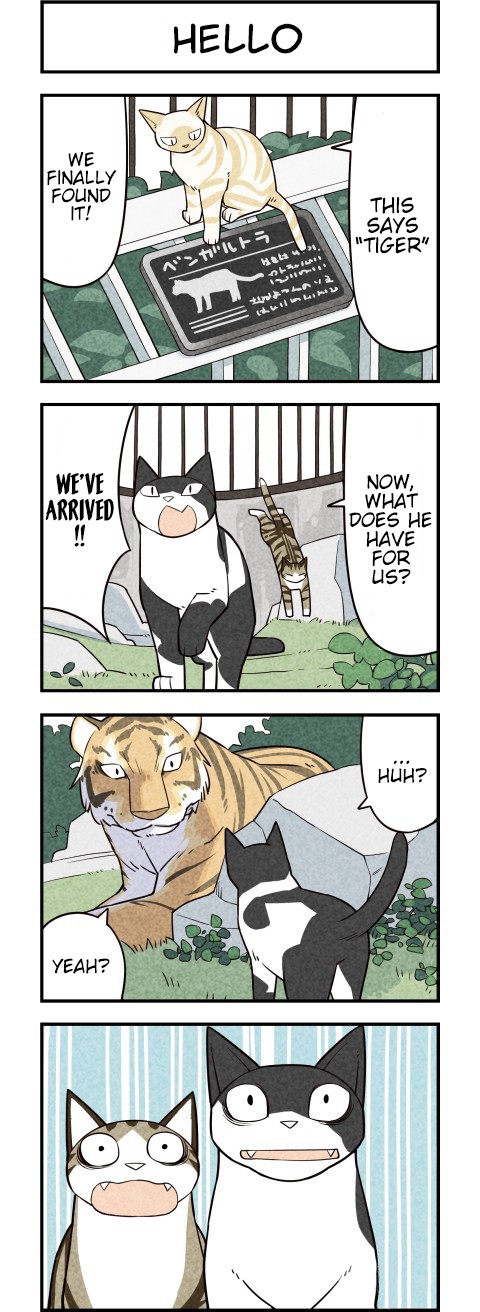 We Are Cats Chapter 27 page 2 - Chapter 27