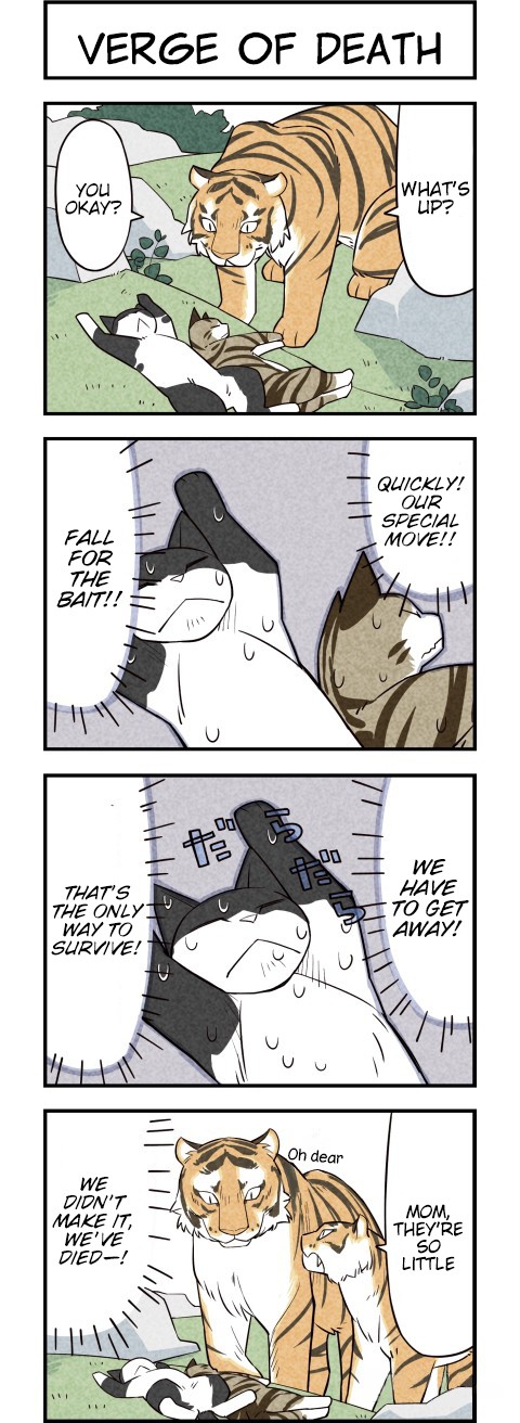 We Are Cats Chapter 27 page 3 - Chapter 27