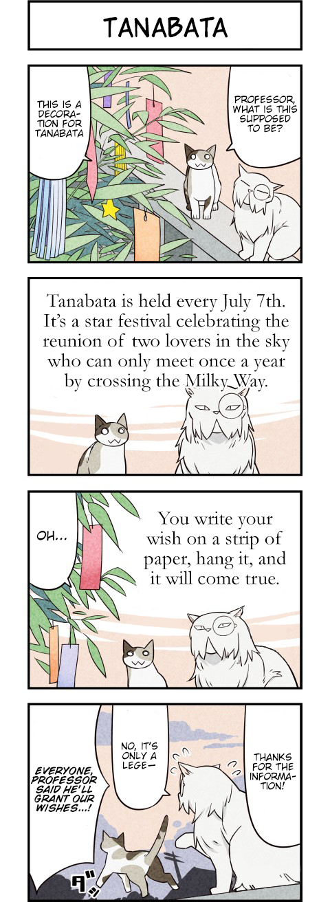 We Are Cats Chapter 28 page 1 - Chapter 28