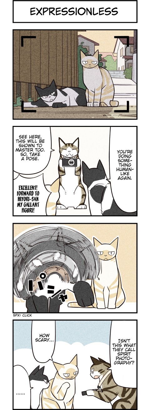 We Are Cats Chapter 32 page 2 - Chapter 32