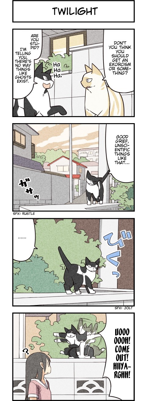 We Are Cats Chapter 32 page 3 - Chapter 32