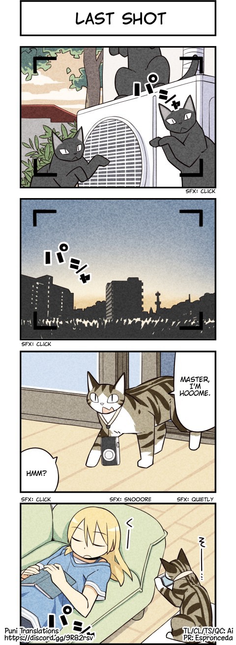 We Are Cats Chapter 32 page 4 - Chapter 32