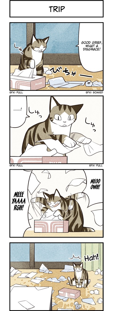 We Are Cats Chapter 34 page 3 - Chapter 34