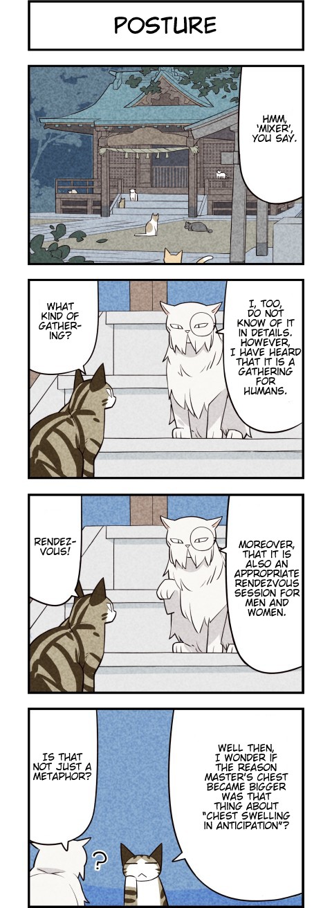 We Are Cats Chapter 36 page 3 - Chapter 36