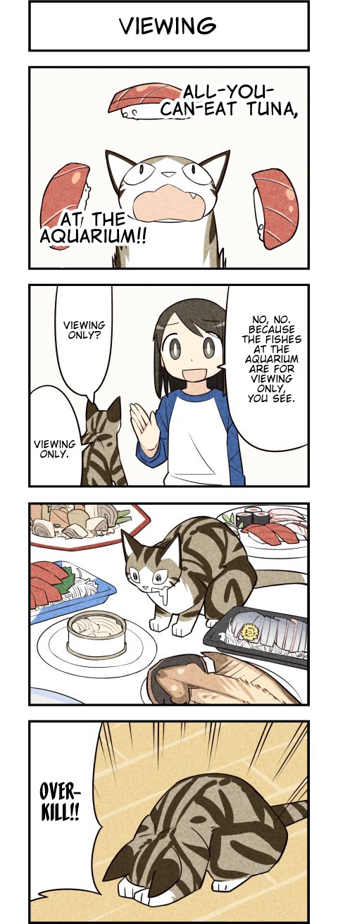 We Are Cats Chapter 38 page 3 - Chapter 38