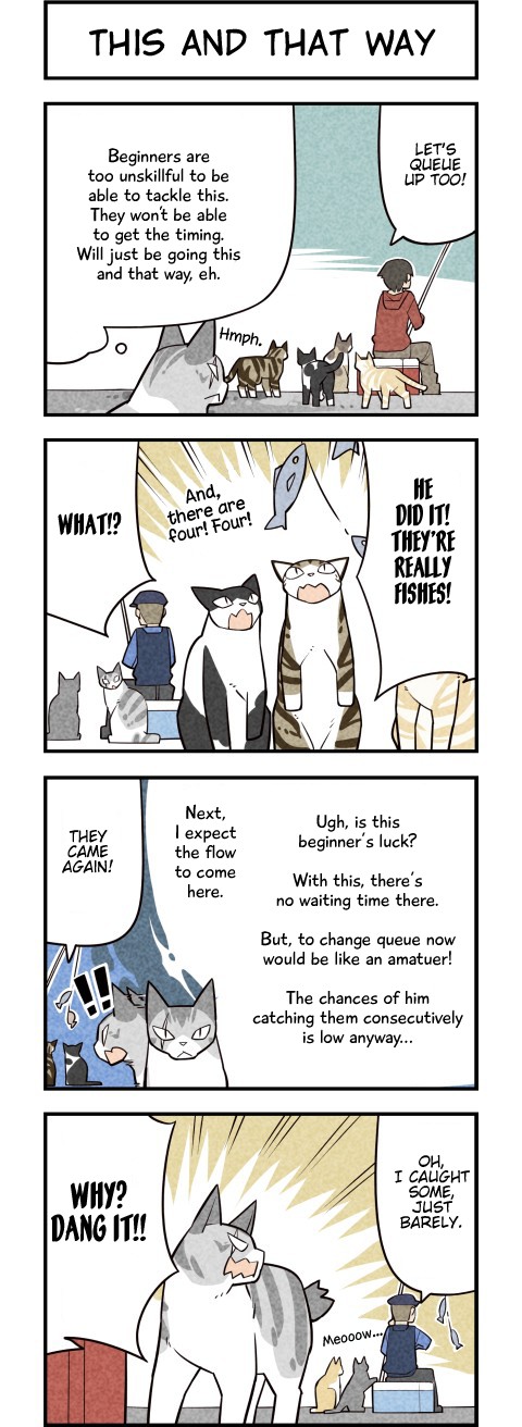 We Are Cats Chapter 42 page 3 - Chapter 42