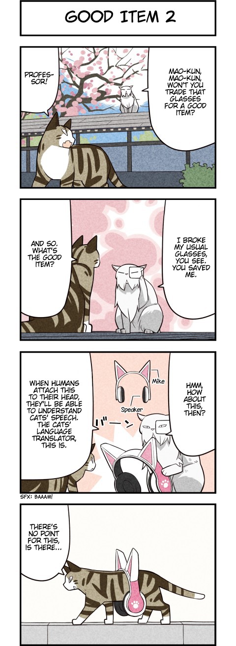 We Are Cats Chapter 47 page 3 - Chapter 47