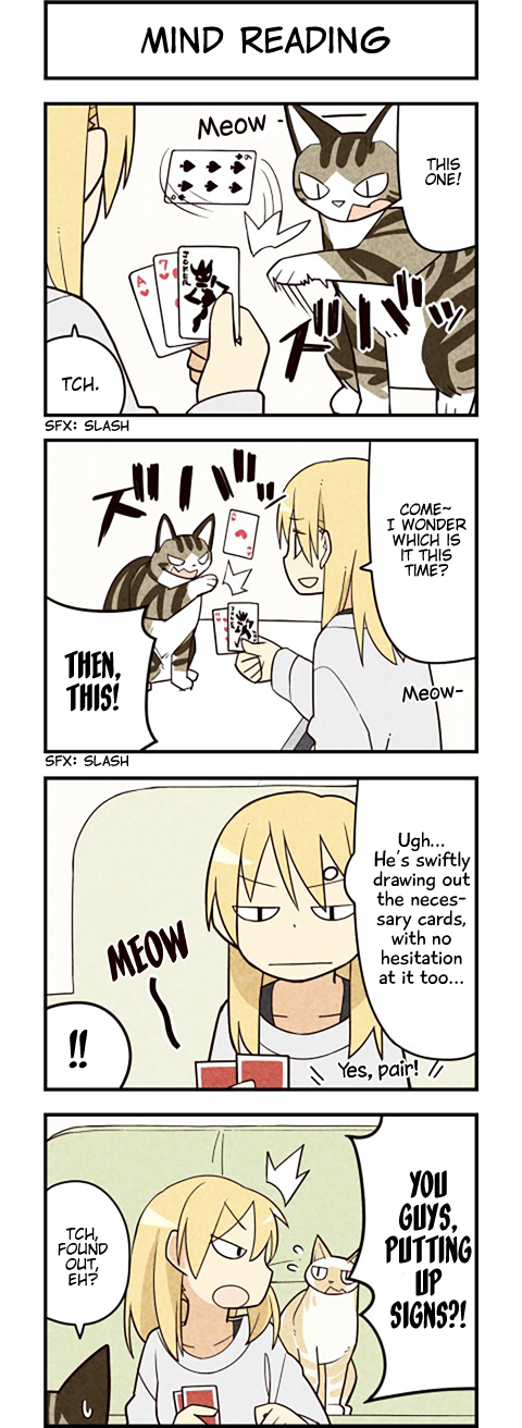 We Are Cats Chapter 51 page 2 - Chapter 51