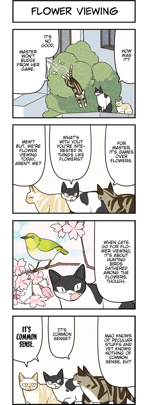 We Are Cats Chapter 52 page 1 - Chapter 52