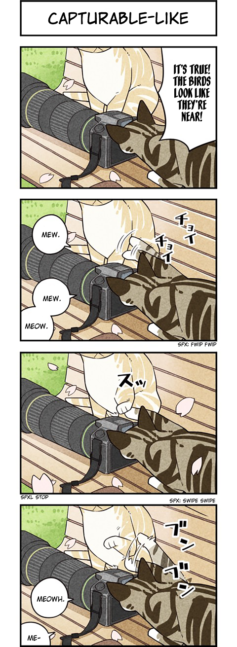 We Are Cats Chapter 53 page 4 - Chapter 53