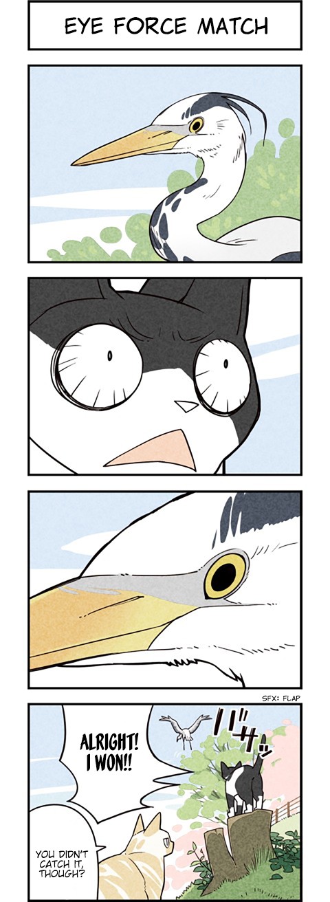 We Are Cats Chapter 54 page 3 - Chapter 54