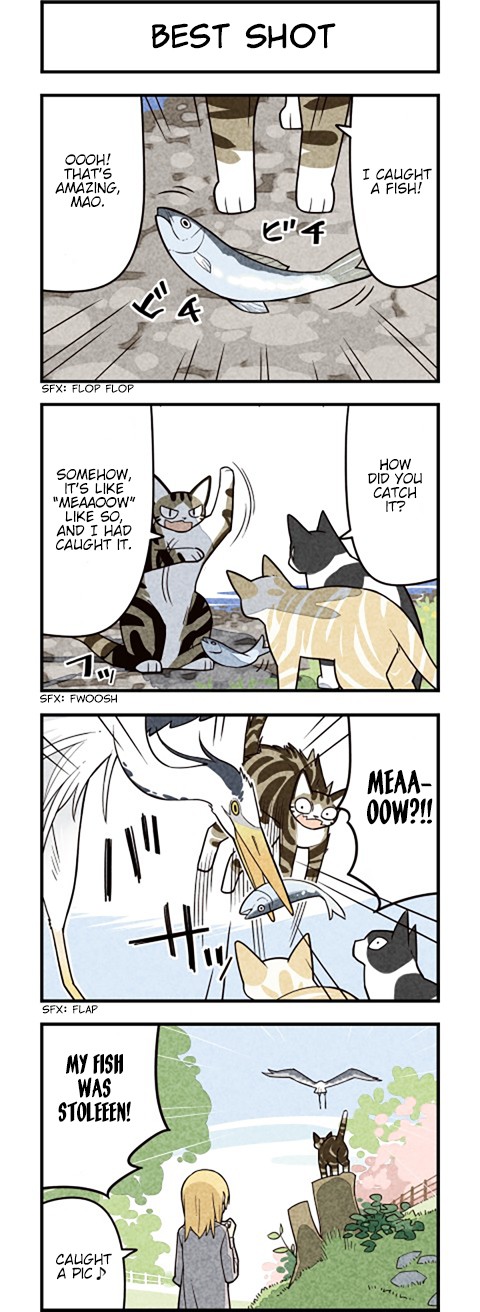 We Are Cats Chapter 54 page 4 - Chapter 54