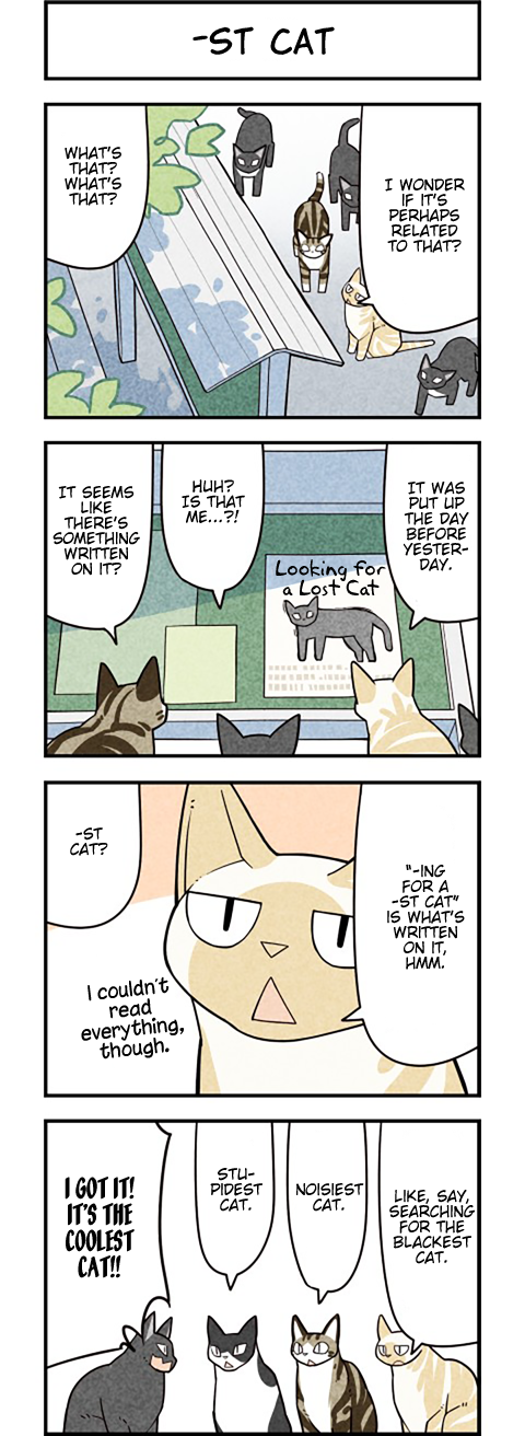 We Are Cats Chapter 55 page 3 - Chapter 55