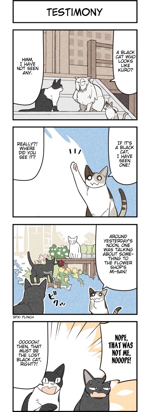 We Are Cats Chapter 56 page 2 - Chapter 56