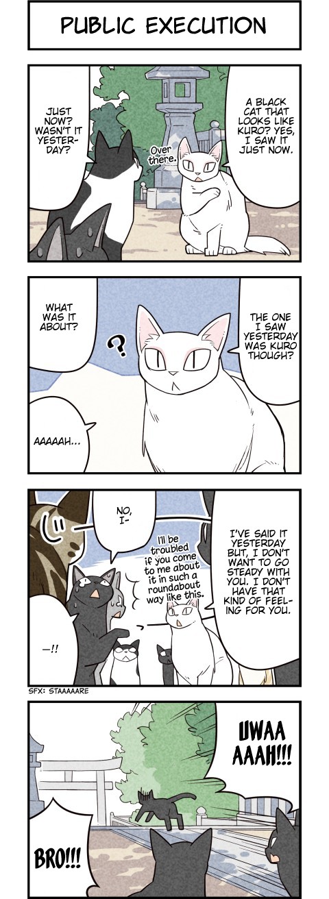 We Are Cats Chapter 56 page 3 - Chapter 56