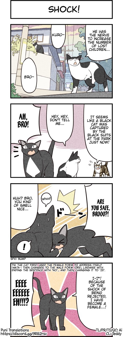 We Are Cats Chapter 56 page 4 - Chapter 56
