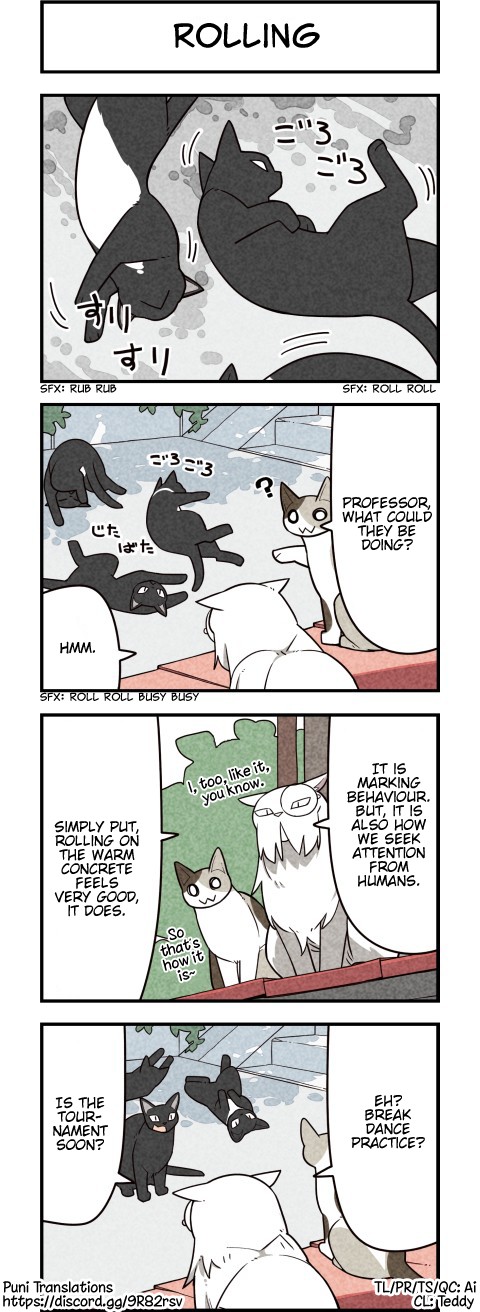 We Are Cats Chapter 57.5 page 1 - Chapter 57.5