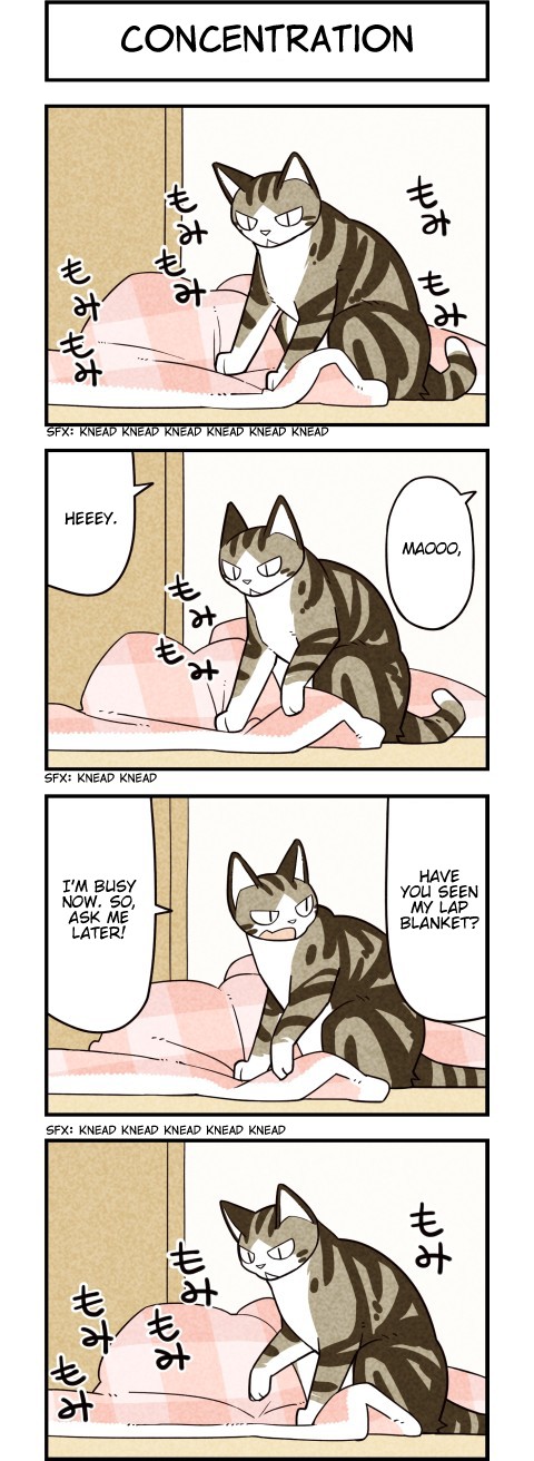 We Are Cats Chapter 57.5 page 2 - Chapter 57.5