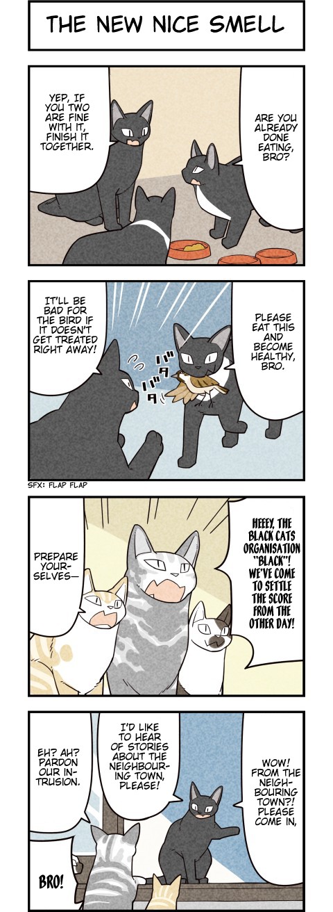 We Are Cats Chapter 57 page 1 - Chapter 57