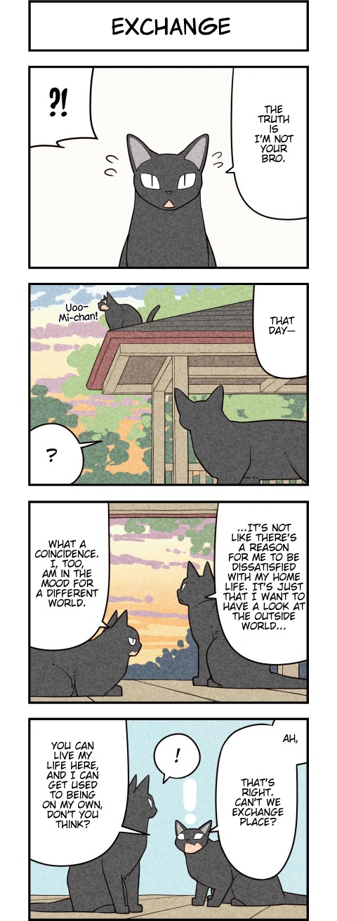 We Are Cats Chapter 57 page 2 - Chapter 57