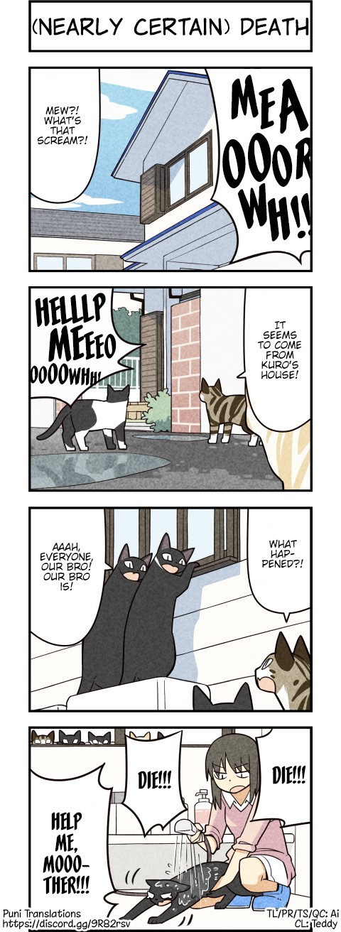 We Are Cats Chapter 60 page 1 - Chapter 60