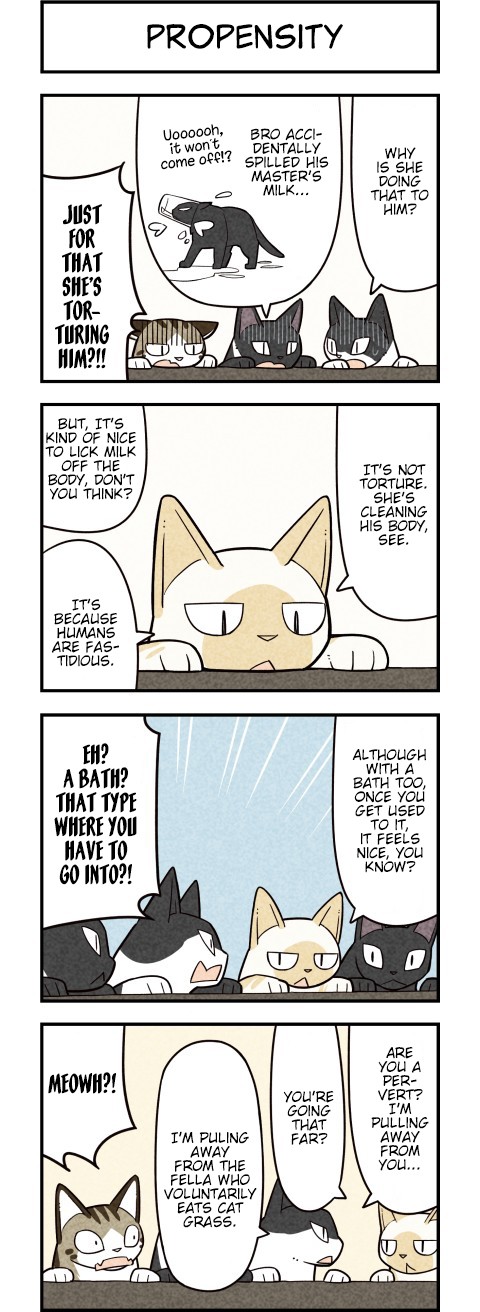We Are Cats Chapter 60 page 2 - Chapter 60