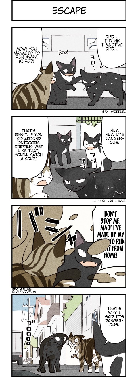 We Are Cats Chapter 60 page 3 - Chapter 60