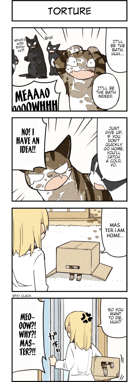 We Are Cats Chapter 60 page 4 - Chapter 60