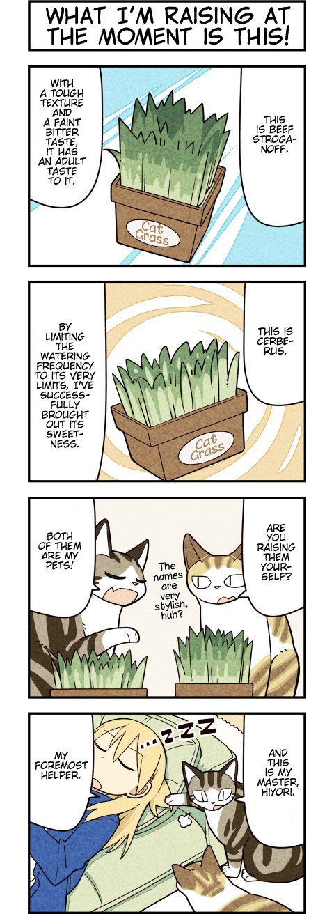 We Are Cats Chapter 63 page 1 - Chapter 63