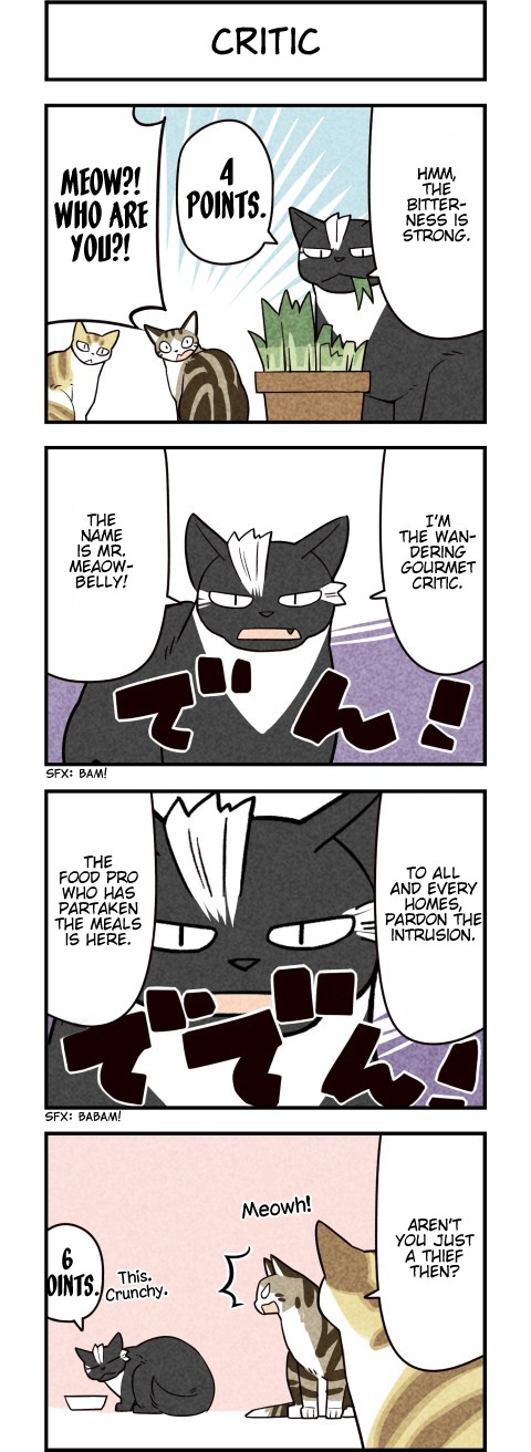 We Are Cats Chapter 63 page 2 - Chapter 63