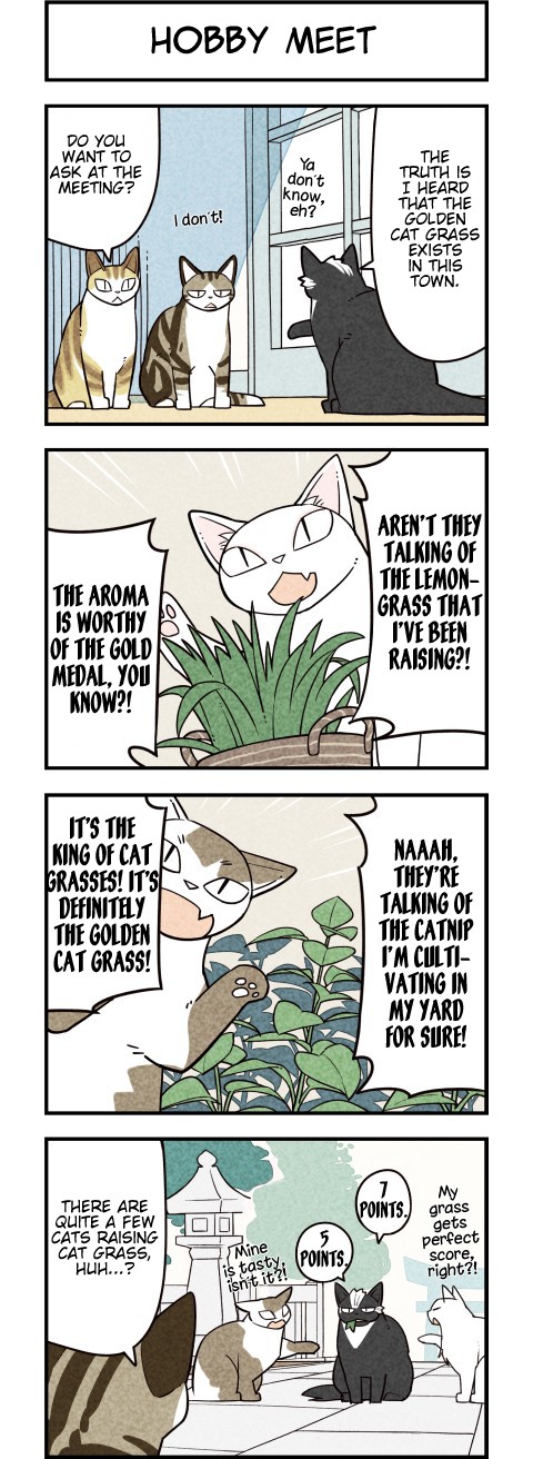 We Are Cats Chapter 63 page 3 - Chapter 63
