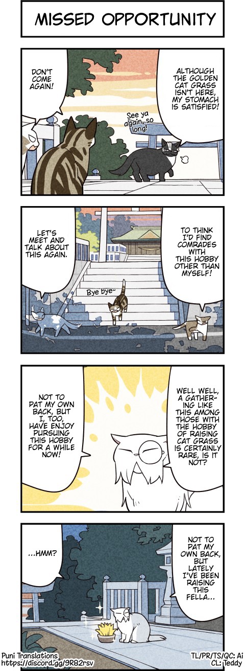 We Are Cats Chapter 63 page 4 - Chapter 63