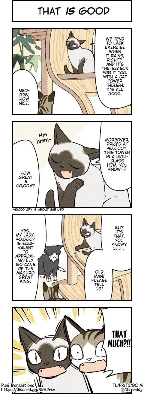 We Are Cats Chapter 66 page 1 - Chapter 66