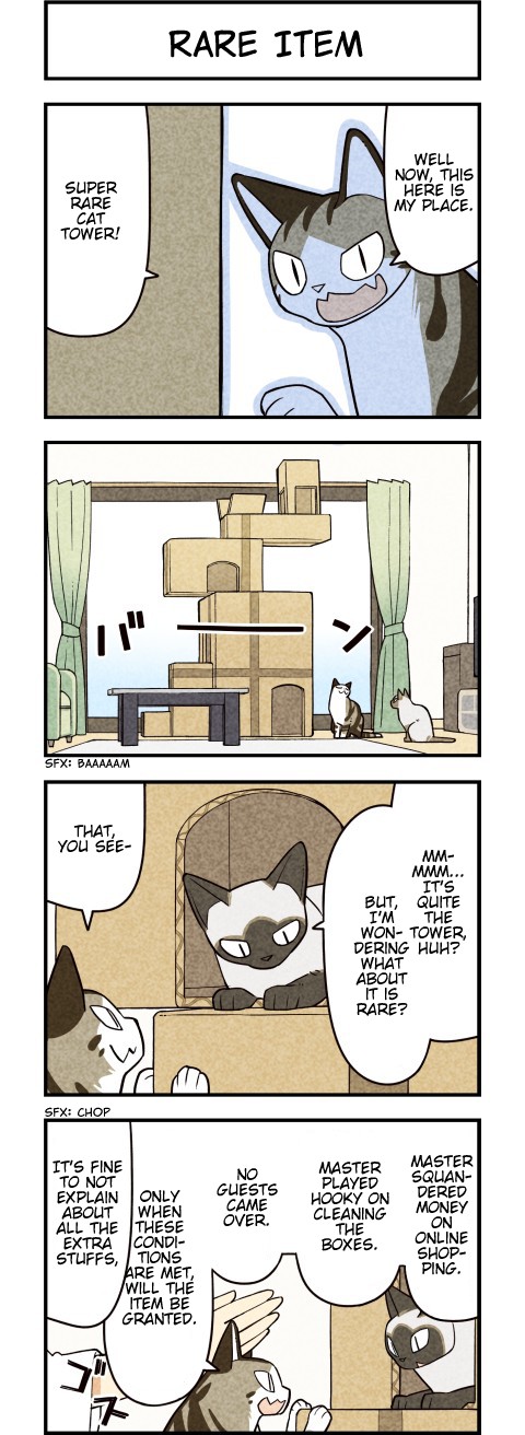 We Are Cats Chapter 66 page 3 - Chapter 66