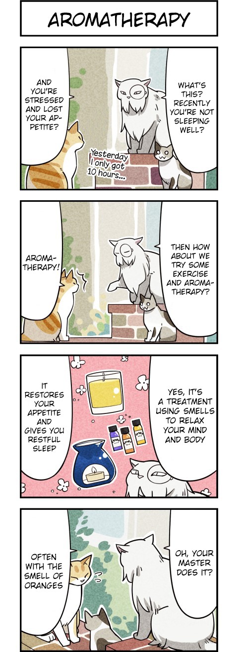 We Are Cats Chapter 9 page 2 - Chapter 9
