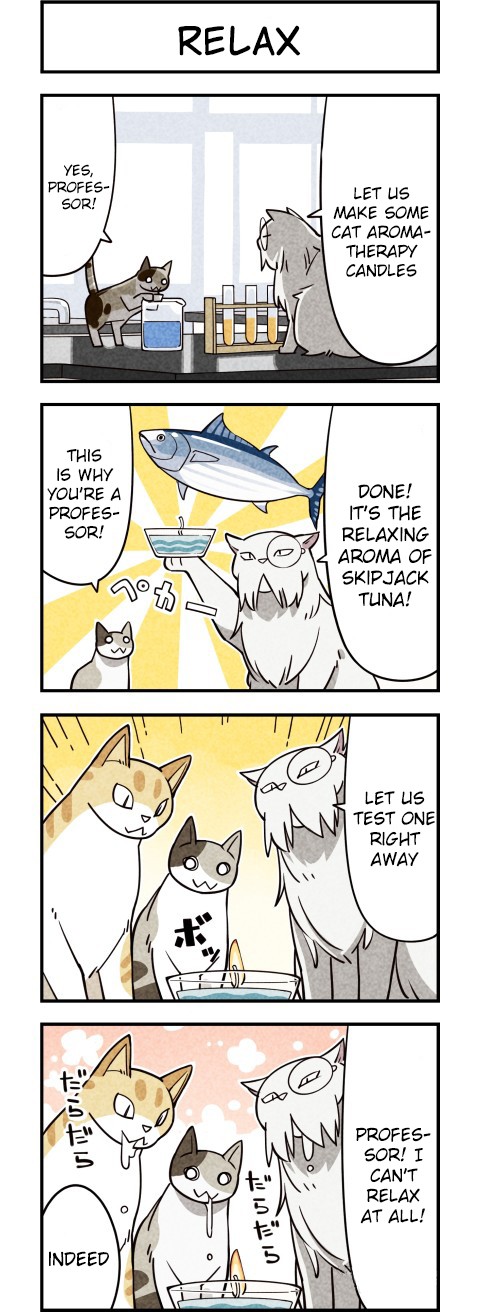 We Are Cats Chapter 9 page 3 - Chapter 9