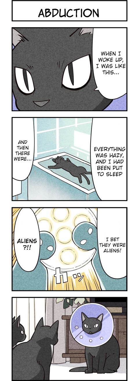 We Are Cats Chapter 9 page 4 - Chapter 9