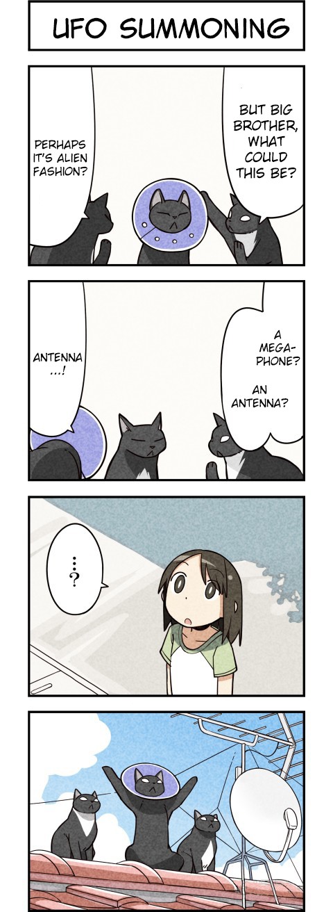 We Are Cats Chapter 9 page 5 - Chapter 9