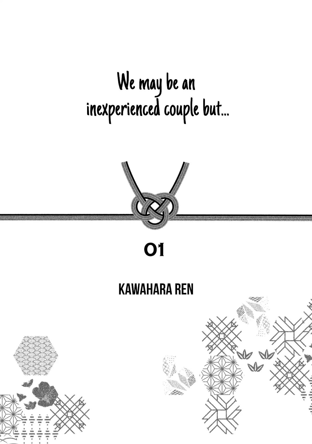 We May Be An Inexperienced Couple But... Chapter 1 page 3 - Chapter 1: First Night Retry