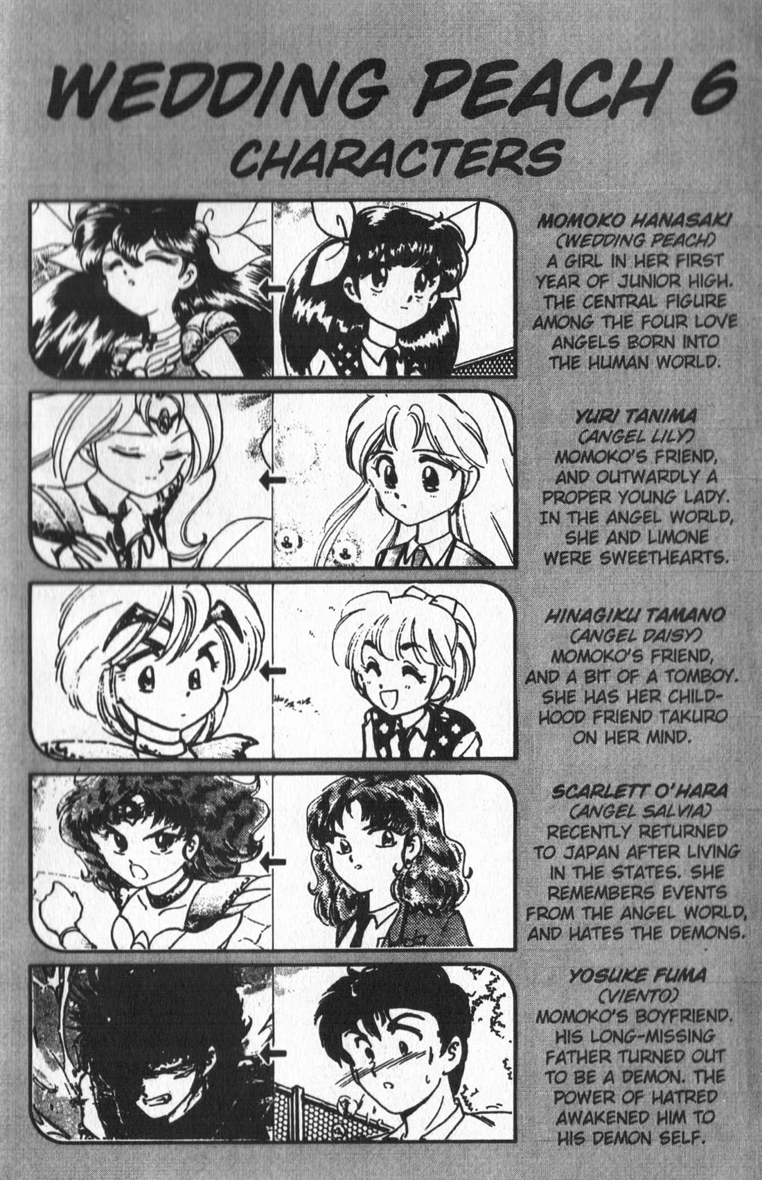 Wedding Peach Chapter 24 page 5 - Chapter 24